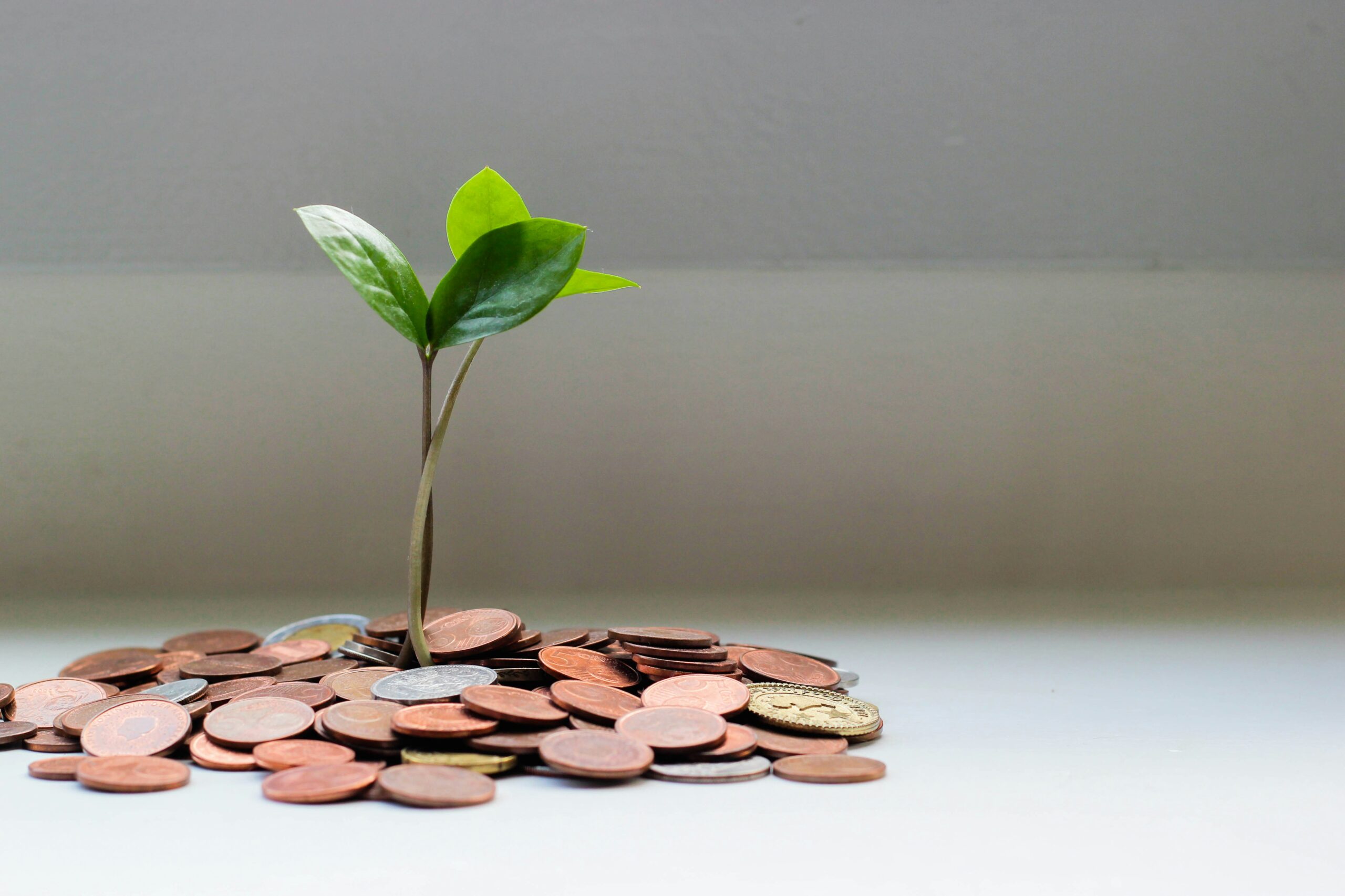 Small plant growing from a pile of coins symbolizing investment growth